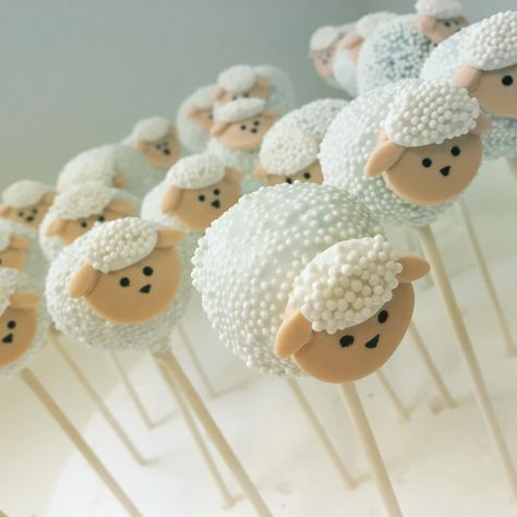 Sheep / Lamb Cake Pops Lamb Cake Pops, Sheep Cake Pops, Lamb Baby Shower Cake, Aid Adha, Eid Moubarak, Sheep Cake, Diy Cake Pops, Lamb Cake, Baby Lamb Baby Shower