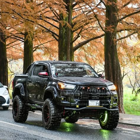 Hilux 4x4, Hilux Mods, Hilux Camper, N70 Hilux Custom, Hilux Tiger Offroad, Toyota Hilux Single Cab Modified, Toyota Hilux Flatbed, Hilux Vigo, Best Off Road Vehicles