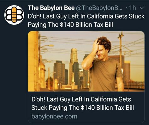 Babylon Bee, Paying Bills, Jokes Quotes, Funny Memes, Bee, Humor, History, Memes, Funny