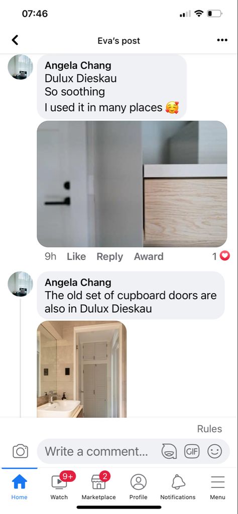 Dulux Dieskau, Cupboard Doors, Cupboard, Color Schemes, Old Things, Doors, Color, Colour Schemes