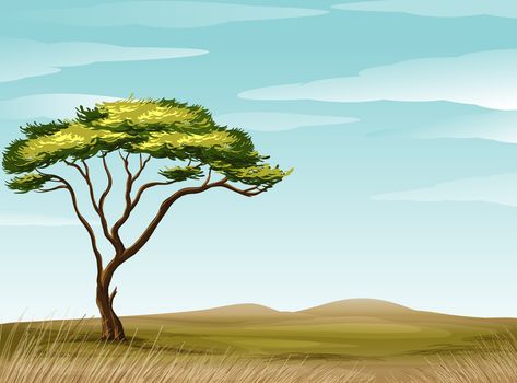 Savannah Landscape, Dry Tree, Scene Drawing, Landscape Drawings, Landscape Illustration, New Backgrounds, Landscape Trees, Art Drawings Simple, Birds In Flight