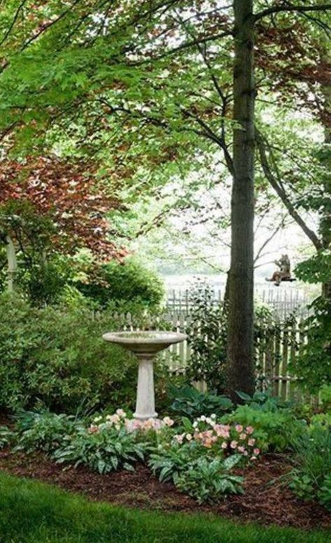 Funny Vine, Country Garden Decor, Trees And Flowers, Have Inspiration, Flower Gardens, The Secret Garden, Shade Plants, Garden Cottage, Country Gardening