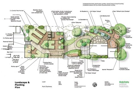 Edible Zen Garden Back Yard Garden Floor Plan, Garden Planting Plan, Sunken Courtyard, Feng Shui Garden, Courtyard Plants, Vegetable Beds, Garden Planning Layout, Garden Site, Zen Garden Design