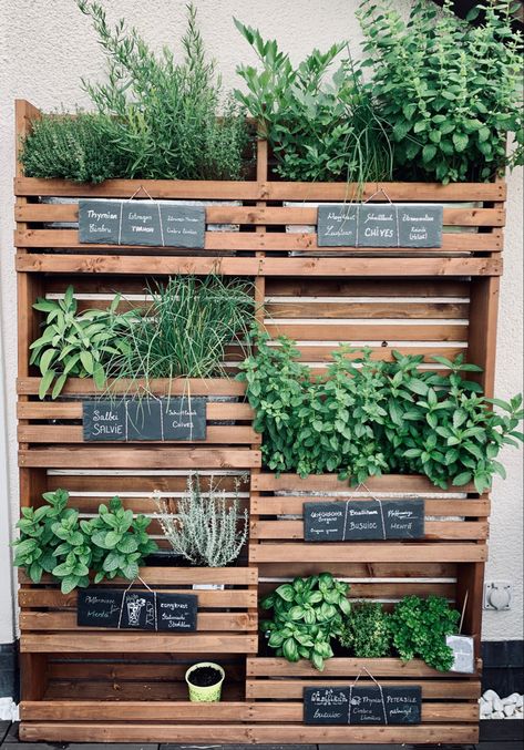 Herbs Balcony Ideas, Herb Garden Wall Outdoor, Spice Garden, Herb Wall, Herbs Garden, Magic Herbs, Outdoor Inspirations, Growing Herbs, Backyard Ideas