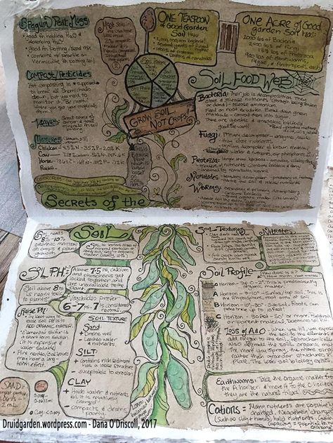 Bujo Tarot, Druid Journal, Nature Journal Ideas, Dnd Notes, Witchy Bujo, Druid Craft, Fantasy Notebook, Grimoire Ideas, Dnd Journal