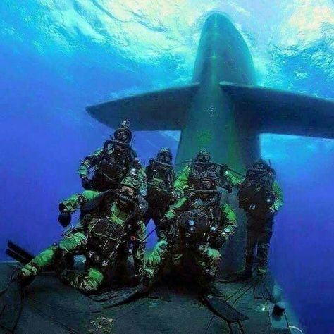 You may be cool and a bit of a bad ass, but you are (not) 6 Navy Seals riding a submarine while protecting our country bad ass cool. Scuba Diving Quotes, Navy Diver, Us Navy Seals, Scuba Gear, Military Special Forces, Military Artwork, Military Humor, Military Combat, Military Soldiers