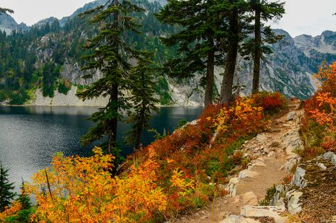 The 13 Best Fall Hikes in Washington for Stunning Color - Postcards to Seattle Fall Hikes, September Morning, Like Clockwork, Washington Hikes, Fall Hiking, Favorite Season, Scenic Routes, Fall Foliage, Washington State