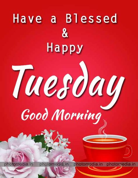 Good Morning Tuesday Wishes, Good Morning Tuesday Images, Beautiful Tuesday, Happy Tuesday Morning, Happy Monday Images, Tuesday Quotes Good Morning, Tuesday Greetings, Tuesday Images, Happy Hug Day