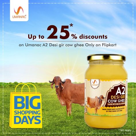 Gir Cow, Desi Cow, Organic Ghee, Cow Ghee, Being Healthy, Healthy Choice, Immunity Booster, The Choice, Shopping Day