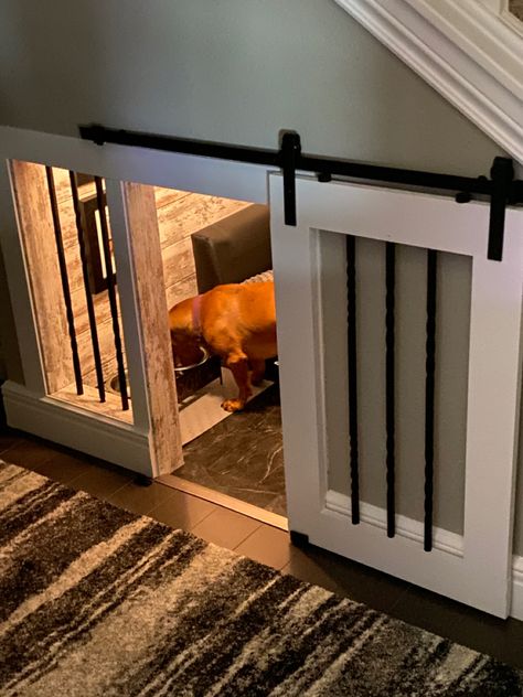 Under Steps Dog Room, Under Stair Dog Kennel, Dog Den Under Stairs, Understairs Dog Area, Under Stairs Dog Kennel, Under Stairs Dog Room, Dog Kennel Under Stairs, Dog Under Stairs, Dog Condo