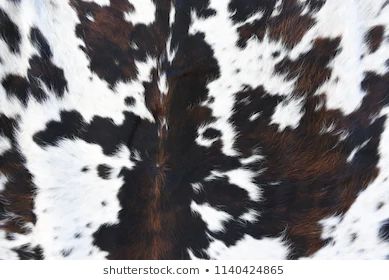 Fur Texture Images, Stock Photos & Vectors | Shutterstock Western Prints Pattern, Cow Hyde, Watch Backgrounds, Fur Background, Cow Print Wallpaper, Cowhide Print, Widget Icons, Fur Texture, Transfer Sheets