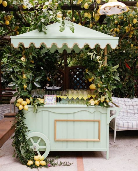 All posts • Instagram Mint Green Decor, Lemonade Bar, Italian Chic, Sweet Carts, Welcome Party, Flower Cart, Flower Bar, Venue Decor, Lemonade Stand