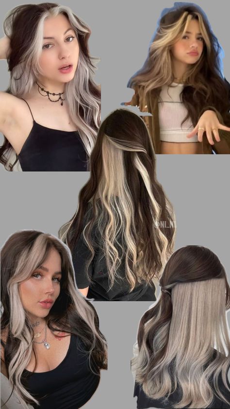 Narcissa Malfoy Hair, Malfoy Hair, Narcissa Malfoy, Hidden Hair Color, Kylie Hair, Skunk Hair, Split Dyed Hair, Split Hair, Dyed Hair Inspiration