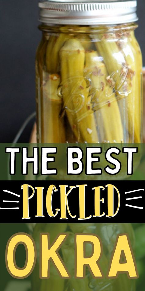 This is the best homemade okra recipe! Learn how to make pickled okra at home! Simple and easy recipe to make pickled okra. Refrigerator Pickled Okra Recipe, Spicy Pickled Okra, Pickled Okra Recipe, Healthy Veggie Snacks, Pickled Okra Recipes, Okra Recipe, Pickled Okra, Canning Pickles, Okra Recipes