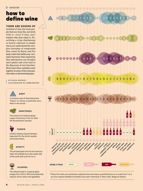 How to define wine - infographic on Behance Wine Infographic, Wine Types, Wine Chart, Data Visualization Infographic, Wine Folly, Science Magazine, Wine Expert, Graphic Design Infographic, Design Infographic