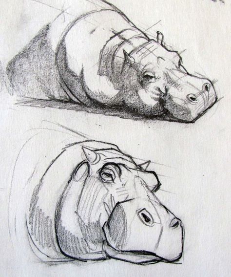 Animal Drawings Sketches, Arte Sketchbook, Animal Sketches, Sketchbook Art Inspiration, Art Drawings Simple, Drawing Techniques, 귀여운 동물, Art Drawings Sketches, Animal Illustration