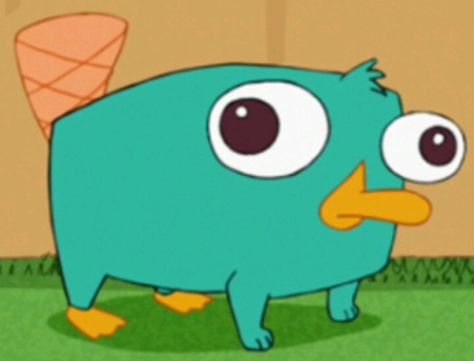 Parry The Platypus Drawing, Perry The Platypus Aesthetic, Parry The Platypus, Perry The Platypus Drawing, Perry Platypus, Phineas And Ferb Memes, Phineas E Ferb, Whatsapp Wallpapers Hd, Perry The Platypus