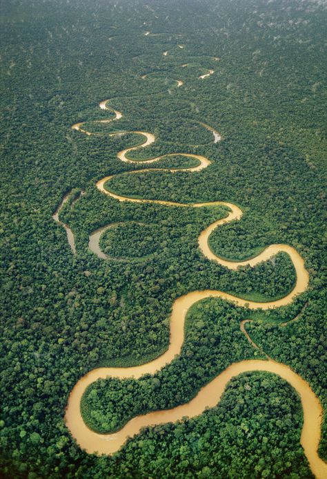 Ríos del mundo - Las sinuosas curvas del ri?o Tambopata, en la Reserva Natural de Tambopata-Candamo, Perú | Galería de fotos 33 de 50 | Traveler Amazon Forest, Amazon River, Amazon Rainforest, Birds Eye View, Birds Eye, Aerial View, Oahu, Amazing Nature, Nature Pictures