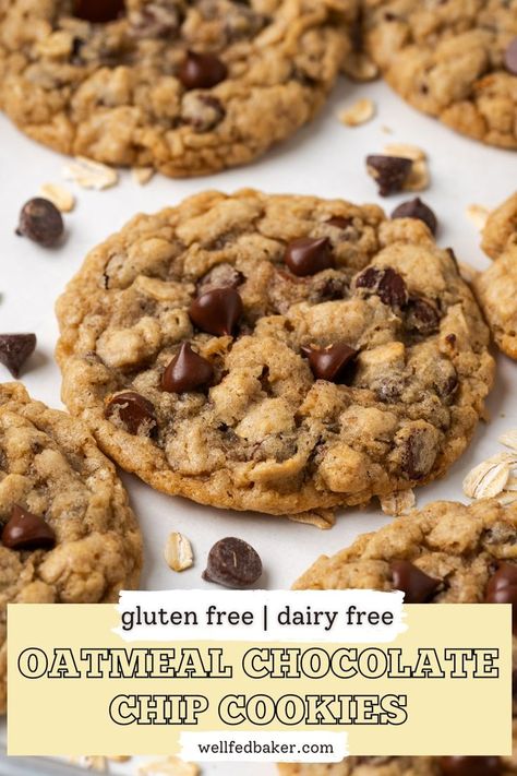 A batch of gluten free dairy free oatmeal chocolate chip cookies sitting on a baking sheet. Homemade Oatmeal Chocolate Chip Cookies, Dairy Free Oatmeal, Gluten Free Oatmeal Chocolate Chip, Gluten Free Dairy Free Cookies, Gluten Free Oatmeal Chocolate Chip Cookies, Dairy Free Cookie Recipe, Dairy Free Chocolate Chip Cookies, Chewy Oatmeal Chocolate Chip Cookies, Gluten Free Oatmeal Cookies