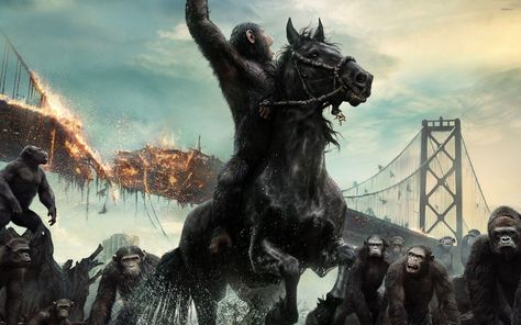 Ape Wallpaper Planet Of The Apes Caesar, 2880x1800 Wallpaper, Dawn Of The Planet, Andy Serkis, Finn Wittrock, Hobbit An Unexpected Journey, Alex Vause, Ninja Turtles Movie, Gorilla Tattoo