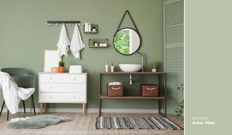 Olive Green Curtains, Calm Living Room, Dirty Room, Bathroom Wood, White Molding, Cabinet Paint, Green Armchair, Great Bathrooms, Green Paint Colors