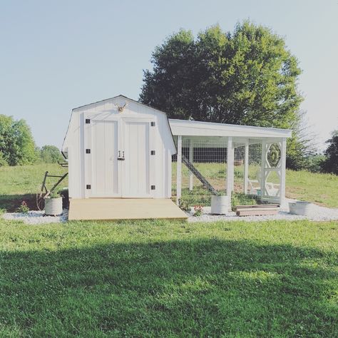 Chicken Coop Repurposed, Shed Chicken Coop, Fancy Chicken Coop, Mini Shed, Fancy Farm, Walk In Chicken Coop, Chicken Shed, Duck Coop, Mini Barn