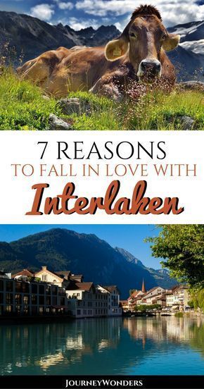 Best Family Vacation Destinations, Switzerland Travel Guide, Interlaken Switzerland, Switzerland Vacation, Best Vacation Destinations, Summer Hike, Best Family Vacations, Austria Travel, Family Vacation Destinations