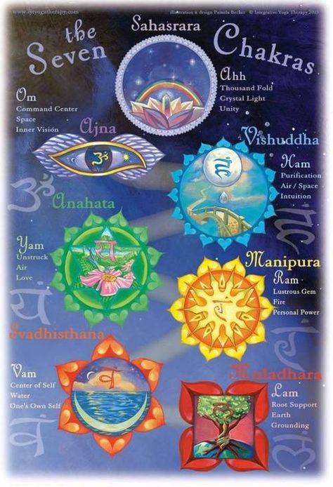 The 7 Chakras for Beginners  #kombuchaguru #meditation Also check out: http://kombuchaguru.com Chakra Health, The Seven Chakras, Yoga Studio Design, Chakra System, Seven Chakras, Qi Gong, Kundalini Yoga, Chakra Meditation, Chakra Balancing