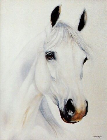 White Horse Watercolor Painting, White Horse Watercolor, White Horse Painting Acrylic, White Horse Drawing, Ideas To Paint On Canvas, Horse Face Drawing, Large Canvas Painting Ideas, Paint On Canvas For Beginners, Mini Canvas Painting Ideas