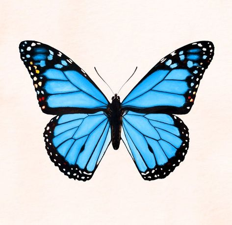 Blue Butterfly Illustration, Morpho Azul, Butterfly Watercolor Painting, Inspo Tattoo, Pure Aesthetic, Custom Photo Wallpaper, Juan Diego, Home Decor Painting, Pavilion Design