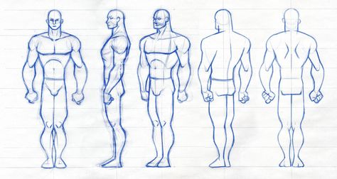 Animation Notes, Marvel Cartoonverse, Character Turnarounds, Resin Toys, Character Reference Sheet, Character Turnaround, Drawing Superheroes, Second Semester, Character Model Sheet