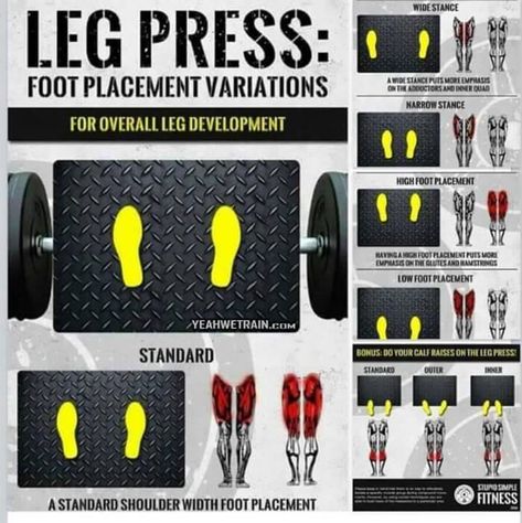 How to Change Leg Press Foot Variations for Total Leg Training ? | Fitness Workouts & Exercises Leg Press Foot Placement, Fitness Legs, Leg Press Machine, Leg Training, Training Motivation, Leg Press, Bodybuilding Training, Bodybuilding Fitness, Gym Workout Tips