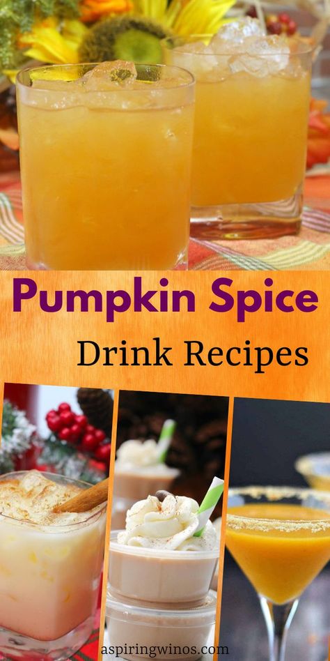 Pumpkin Vodka Recipes, Pumpkin Martini Recipe, Pumpkin Cocktail Recipes, Pumpkin Cocktails, Cocktails For Fall, Autumn Beverages, Pumpkin Drink Recipes, Pumpkin Milkshake, Cider Cocktail Recipes