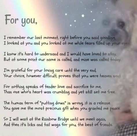 Dog Heaven Quotes, Pet Poems, Pet Memorial Tattoo, Miss My Dog, Dog Poems, Dog Heaven, Pet Remembrance, Love Poem, Dogs Love