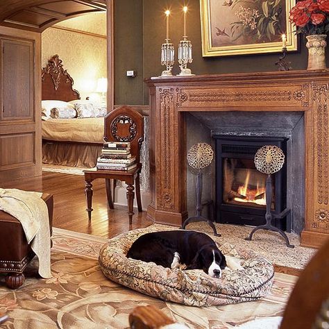 Dog Bed Ideas, Wicker Dog Bed, Comfy Dog Bed, Hideaway Bed, Arts And Crafts Ideas, Monochromatic Room, Multiple Dogs, Big Beds, Cool Dog