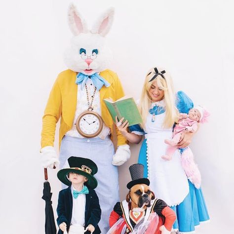 Jillian Harris's Alice in Wonderland Halloween Costume 2018 Pregnancy Costumes, Pregnant Halloween Costumes, Jillian Harris, Pregnant Halloween, Halloween Costumes Makeup, Family Costumes, Family Halloween Costumes, Halloween Costume Ideas, I'm Afraid