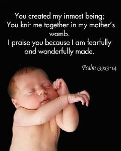 Psalm 139 13, Life Is Precious, Psalm 139, We Are The World, Bible Scriptures, Way Of Life, Trust God, The Words, Word Of God