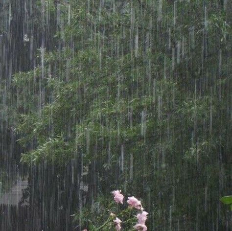 Rainy Day Aesthetic, I Love Rain, Love Rain, On A Rainy Day, When It Rains, A Rainy Day, Nature Aesthetic, Green Aesthetic, In The Rain