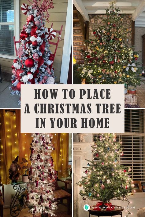 Christmas Tree Location In Living Room, Rearranging For Christmas Tree, Open Floor Plan Christmas Tree, Big Christmas Tree Small Living Room, Christmas Tree In Basement, Christmas Tree On Table Living Rooms, Best Place To Put Christmas Tree, Shiplap Christmas Tree, Christmas Tree In Center Of Room