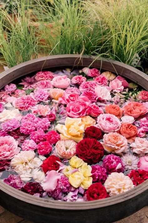 Flower Gardening Ideas, Large Wooden Bowl, Petersham Nurseries, Rosa Shocking, Julia Berolzheimer, Garden Beautiful, Flower Bath, Gardening Flowers, Floating Flowers