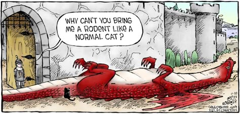 Dragon Cat, Dnd Funny, Dnd Stuff, Cute Comics, What’s Going On, Funny Cartoons, Funny Art, Bones Funny, Cute Funny Animals