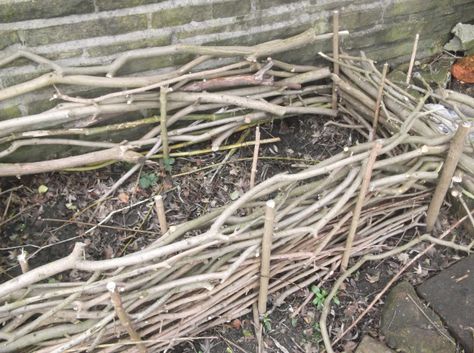 Raised bed with sticks. DIY Stick Garden Bed, Backyard Fort, Colonial Garden, Raised Flower Beds, Natural Medicine, Raised Beds, Raised Garden Beds, How To Make Bed, Raised Garden