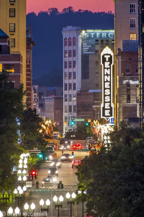 Downtown Knoxville on a Friday Summer Night Downtown Knoxville Tennessee, Univ Of Tennessee, Rocky Top Tennessee, Knoxville Tennessee, Go Vols, Rocky Top, Nashville Trip, East Tennessee, City Scene