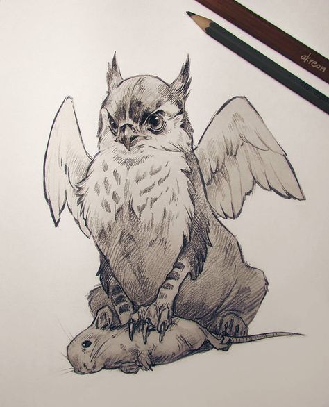 Pygmy griffin. #sketch #sketchbook #pencildrawing #pencil #fantasy #griffin #gryphon #illustration #mause #cute #animals Griffin Sketch, Drawing Fantasy Creatures, Fantasy Griffin, Mythical Creatures Drawings, Fantasy Drawings, Mythical Animal, Animal Drawing, Creature Drawings, Fantasy Creatures Art