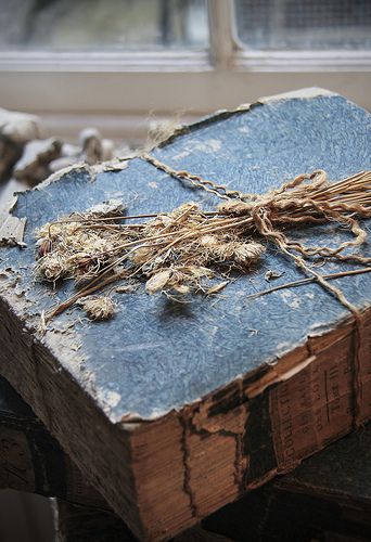 Appley Hoare Antiques - Chelsea, London | by Kotomi_ White Oleander, Blue Cottage, Colour Board, Old Book, Brown Aesthetic, Old Books, Antique Shops, Antique Books, Blue Aesthetic