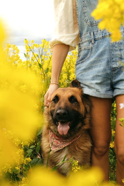 #dogs #springoutfit #flowerfields #photoshoot #yellowaesthetic #overalls Sunflower Field Photoshoot With Dog, Dog Sunflower Photoshoot, Dog Family Pictures, Dog Garden, Photos With Dog, Farm Dogs, Me And My Dog, Sunflower Pictures, Dog Photoshoot