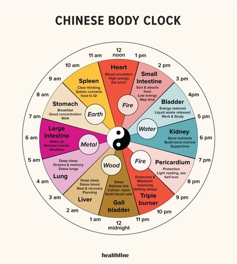 Chinese Body Clock: About, Benefits, Research Chinese Body Clock, Organ Clock, Circadian Clock, Clock Poster, Yin En Yang, Body Clock, Clear Thinking, Energy Medicine, Circadian Rhythm