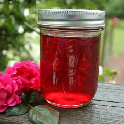 Rose & Herb Shampoo Recipe Rose Vinegar, Avocado Shampoo, Farm Wife, Natural Beauty Recipes, Vinegar Uses, Receding Gums, Hair Rinse, Homemade Remedies, Beauty Recipe