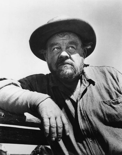 Burl Ives - Rotten Tomatoes Burl Ives, Gregory Peck, Big Country, Rotten Tomatoes, Best Supporting Actor, Golden Globe Award, Abstract Portrait, Tomatoes, Favorite Character