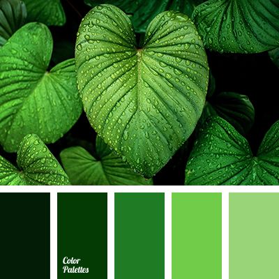 Beautiful like a nature itself color gamma. What can be more wonderful than shades of fresh leaves, green grass, and soft greenery? Smooth transitions of g. In Color Balance, Corel Draw Design, Color Concept, Green Color Palette, Color Palette Ideas, Palette Ideas, Green Palette, Monochromatic Color Scheme, Green Colour Palette